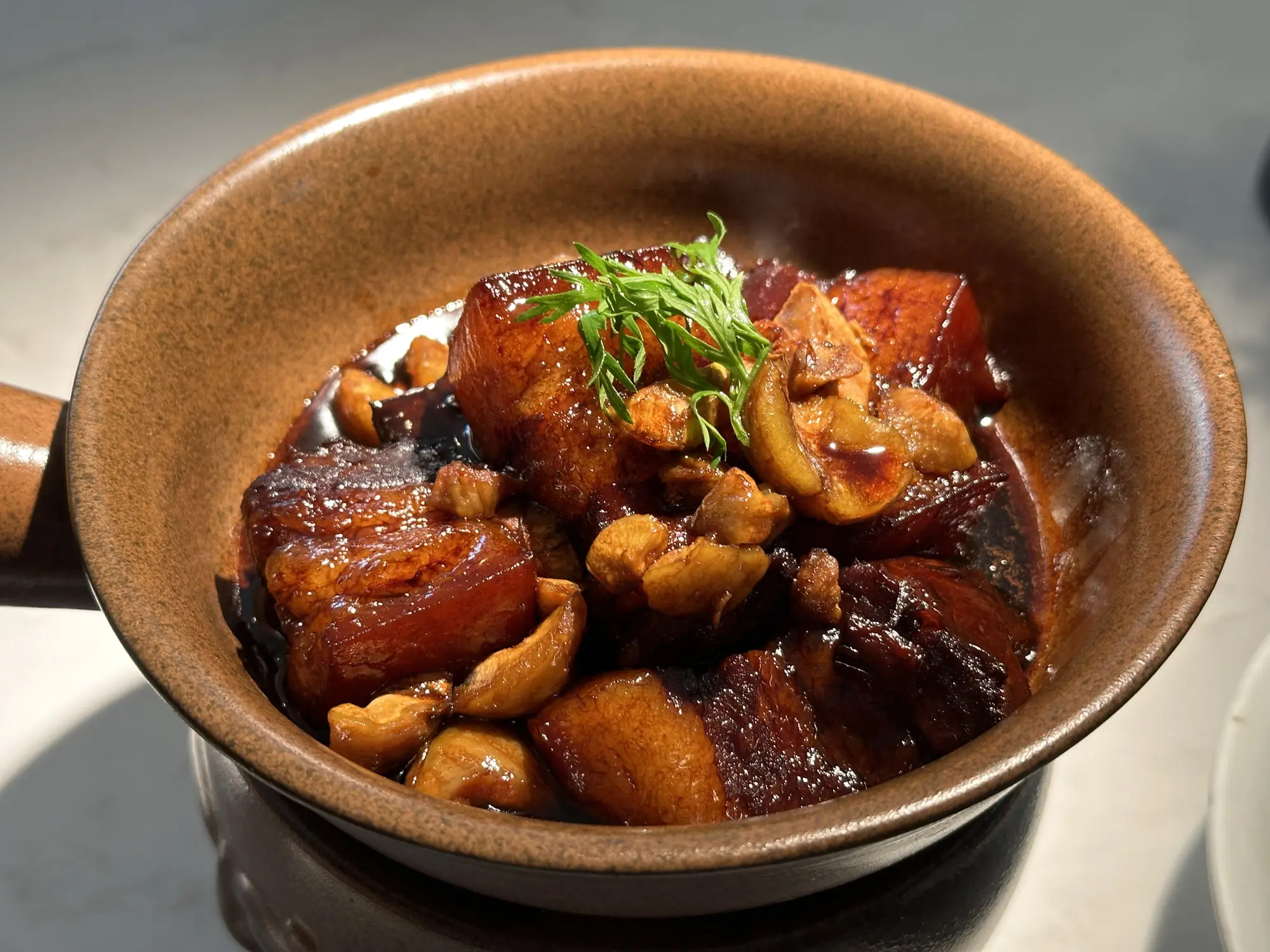 砂锅里慢炖的肉与菌